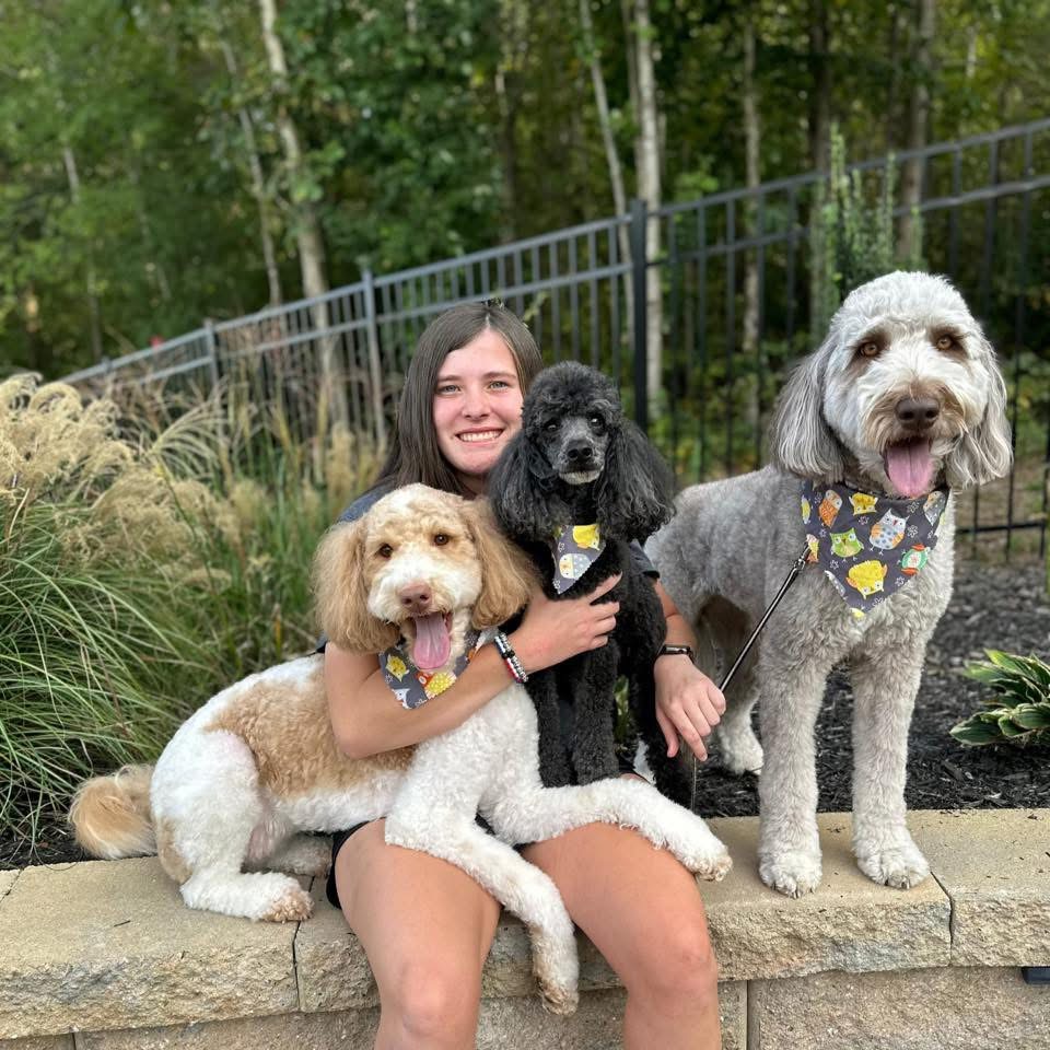 pet sitter statesville nc