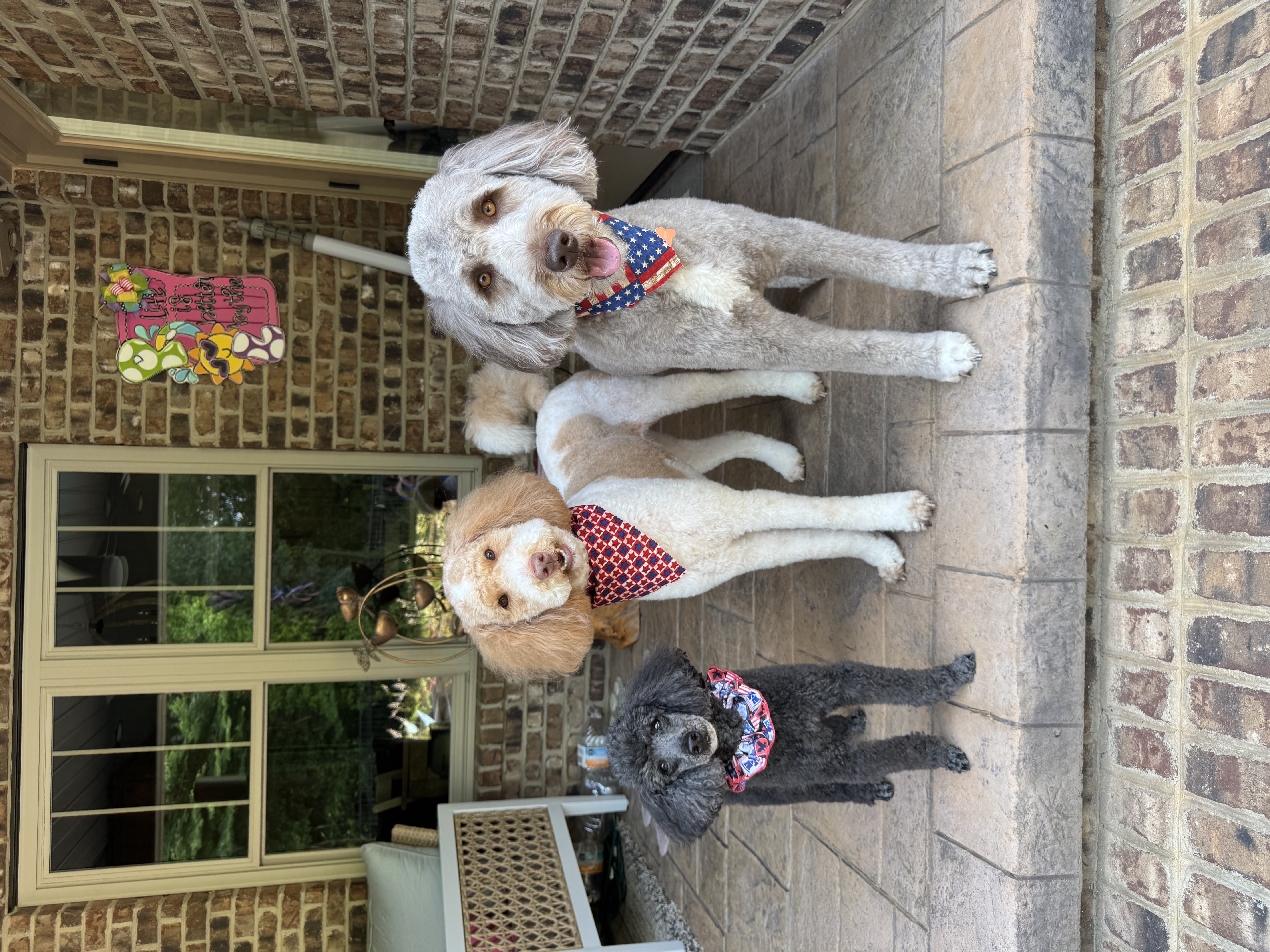 house sitting statesville nc